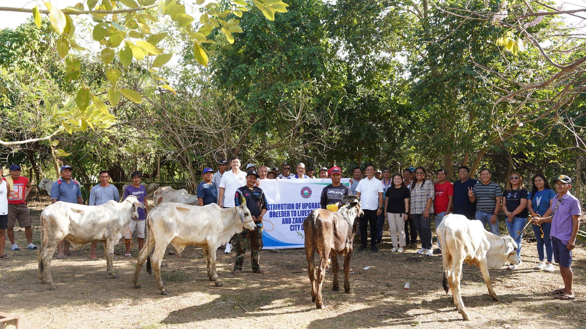 Distribution of Upgraded Calves and Breeders to Livestock Raisers and Zanjeras in the City of Batac